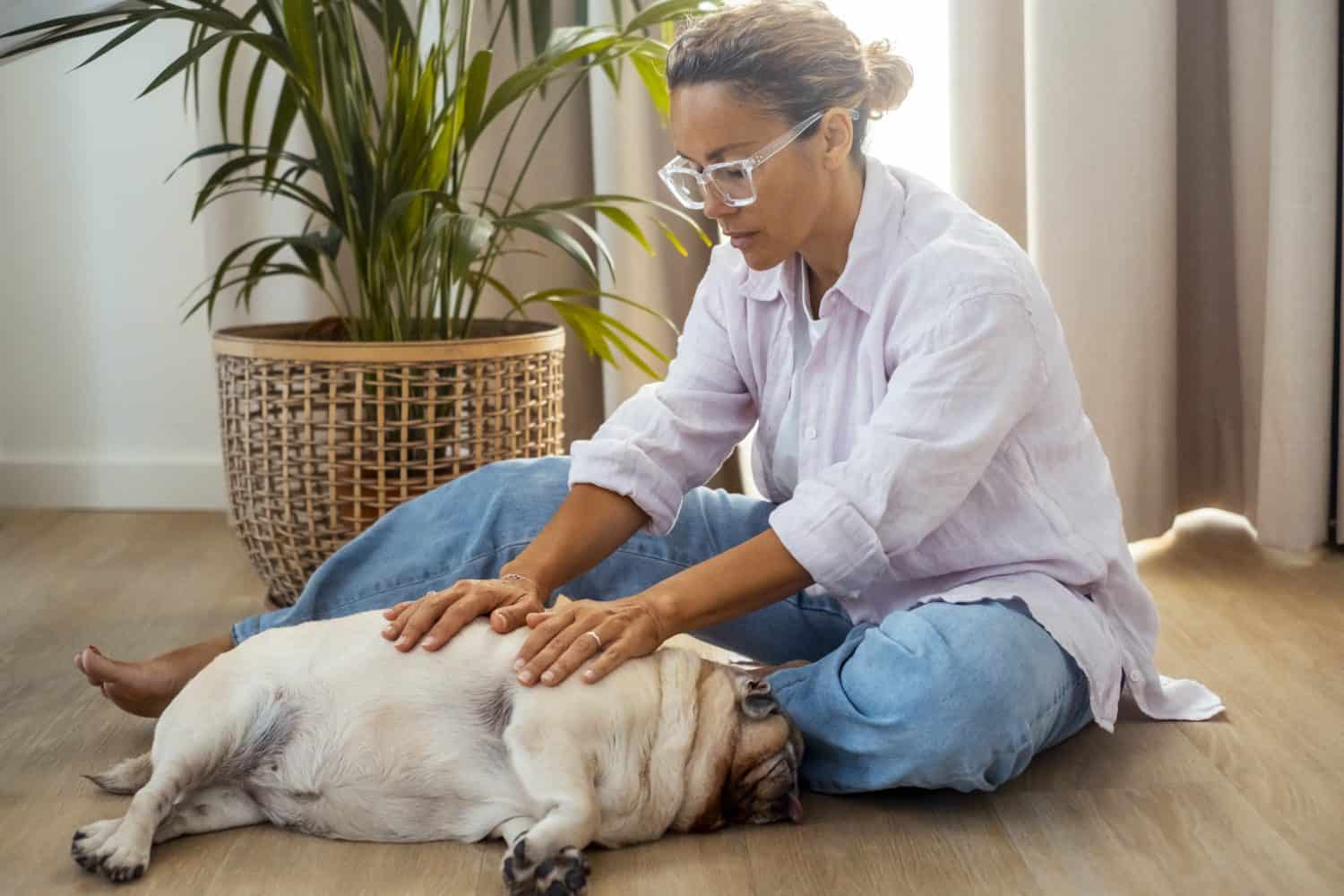 Middle-aged woman gently massages her sleeping dog on a hardwood floor in a cozy home interior, showing pet care, bonding and relaxation between owner and pet in a warm, peaceful moment.