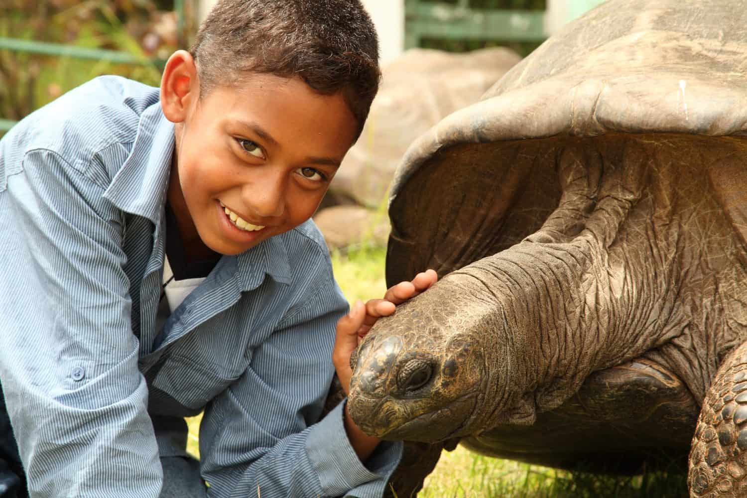 Boy visits Jonathan the tortoise on St Helena. Jonathan the famous giant tortoise who is estimated to be two hundred years old