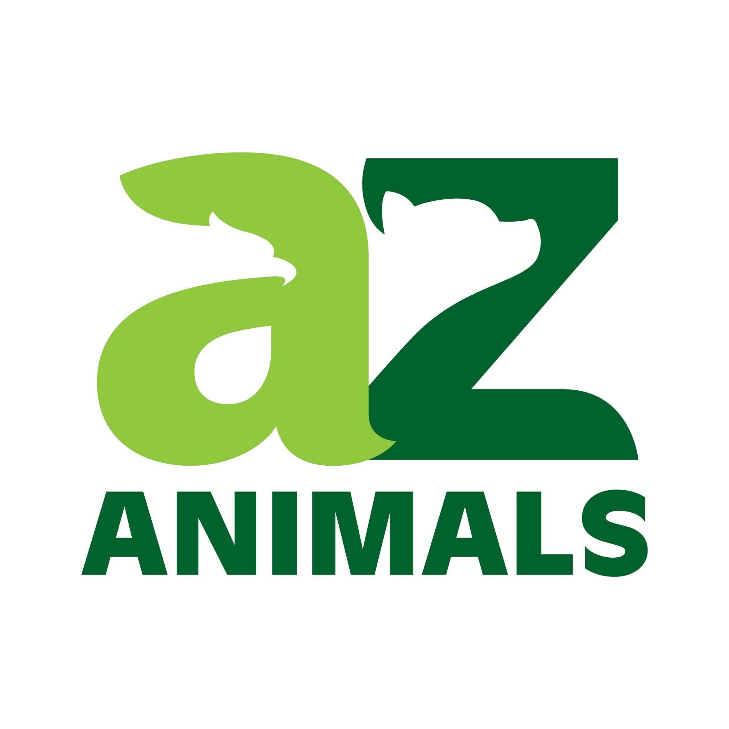 All Animals A-Z List - Animal Names | AZ Animals