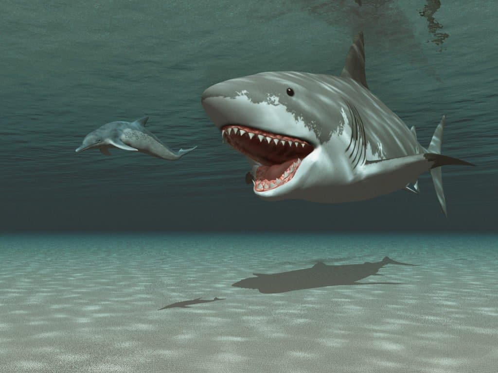 Megalodon chasing dolphins