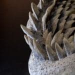 Megalodon teeth rows