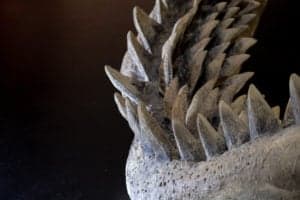 Megalodon Teeth: Everything You Need to Know Picture