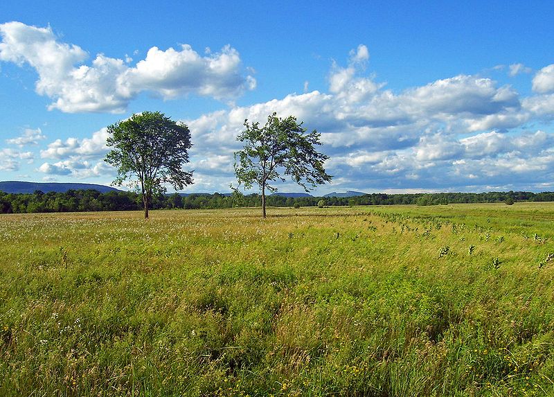 Spring Green Prairie | The Nature Conservancy in Wisconsin