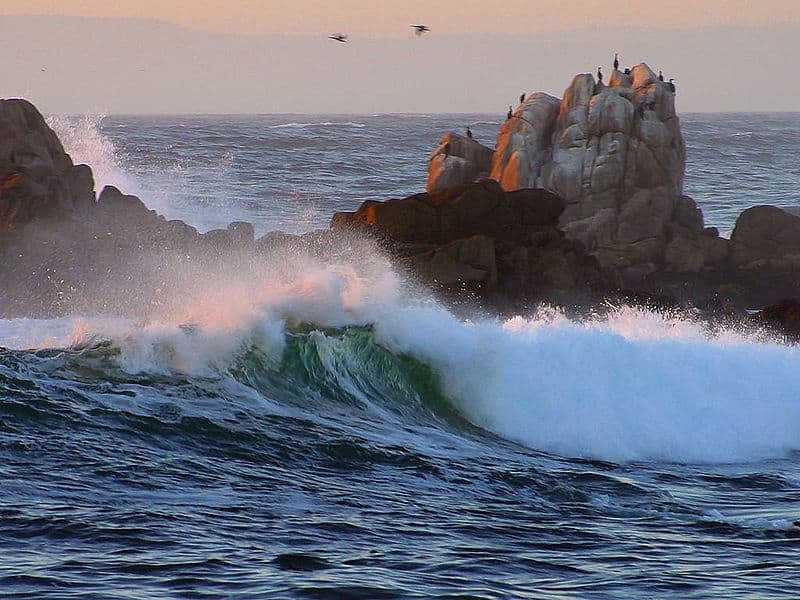 Monterey Bay