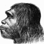 First reconstruction of Neanderthal man