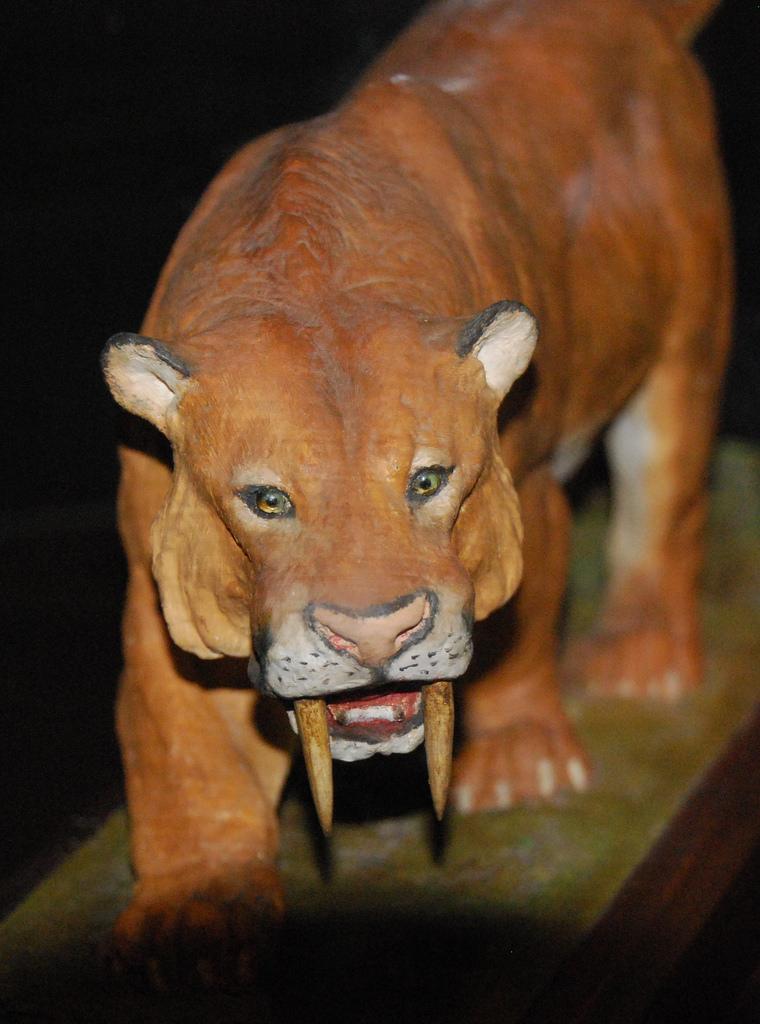 Saber-toothed tiger