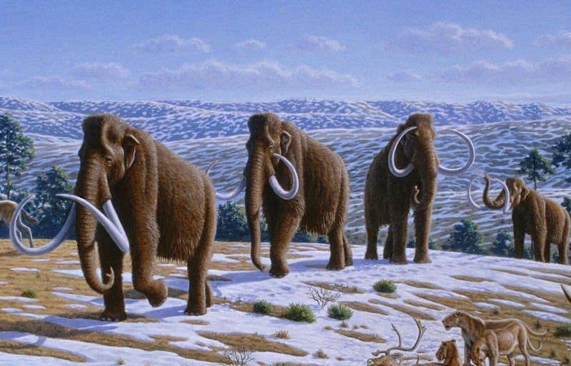 The woolly mammoth went extinct roughly 10,000 years ago.
