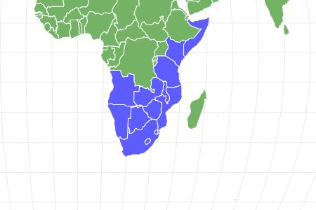 African Bullfrog Locations