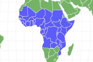 African Civet Locations