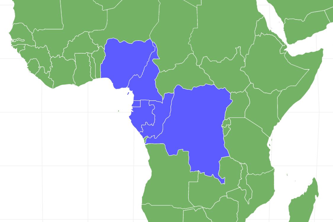 African Tree Toad Locations