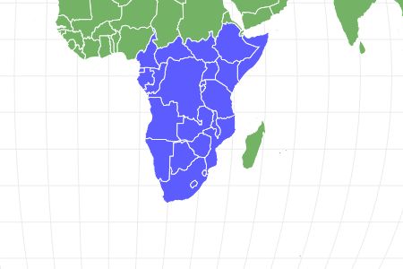 Agama Lizard Locations