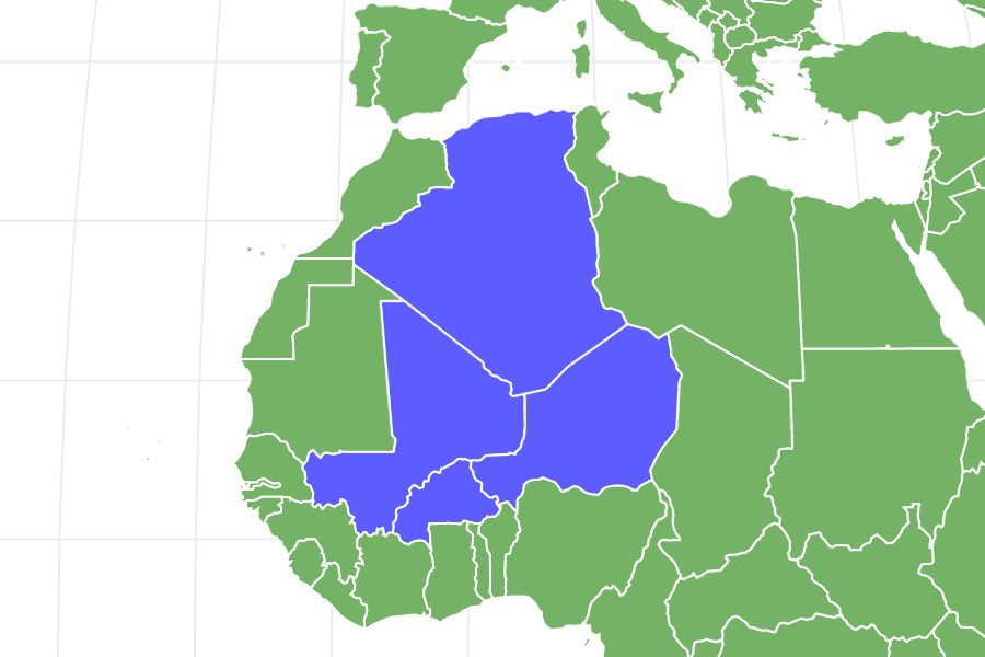 Azawakh Locations