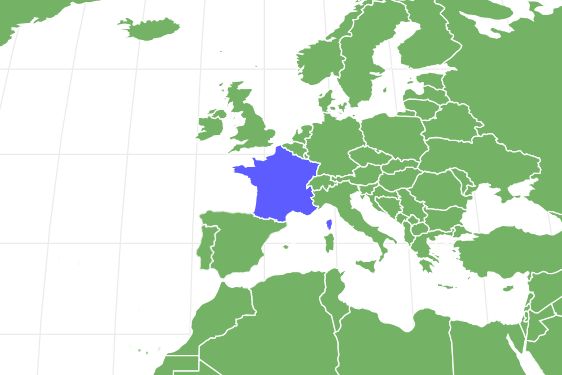 Bichon Frise Locations