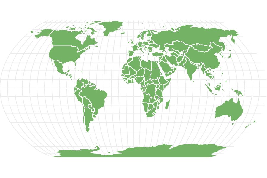 Bigfin Reef Squid  Locations