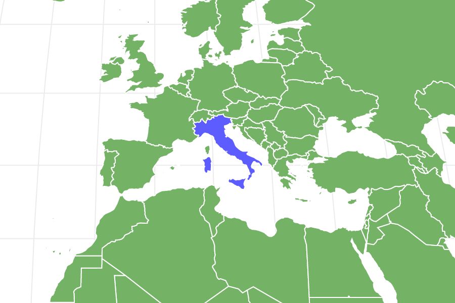 Bolognese Dog Locations