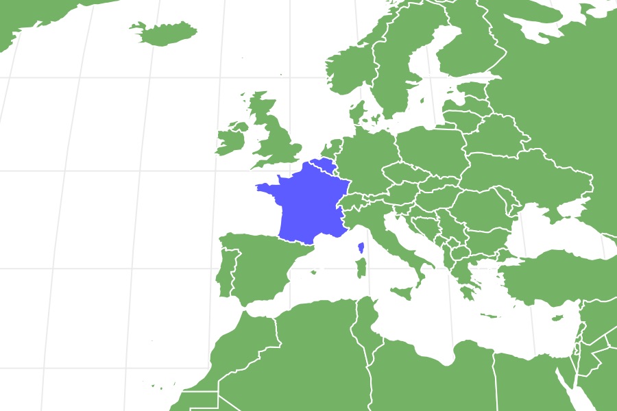 Bouvier Des Flandres Locations