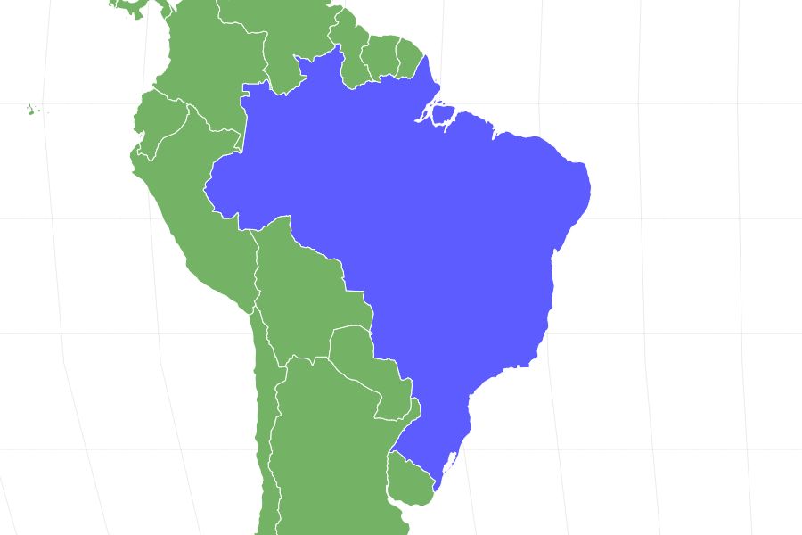 Brazilian Terrier Locations