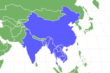 Burmese Python Locations