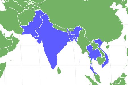 Dwarf Gourami Locations