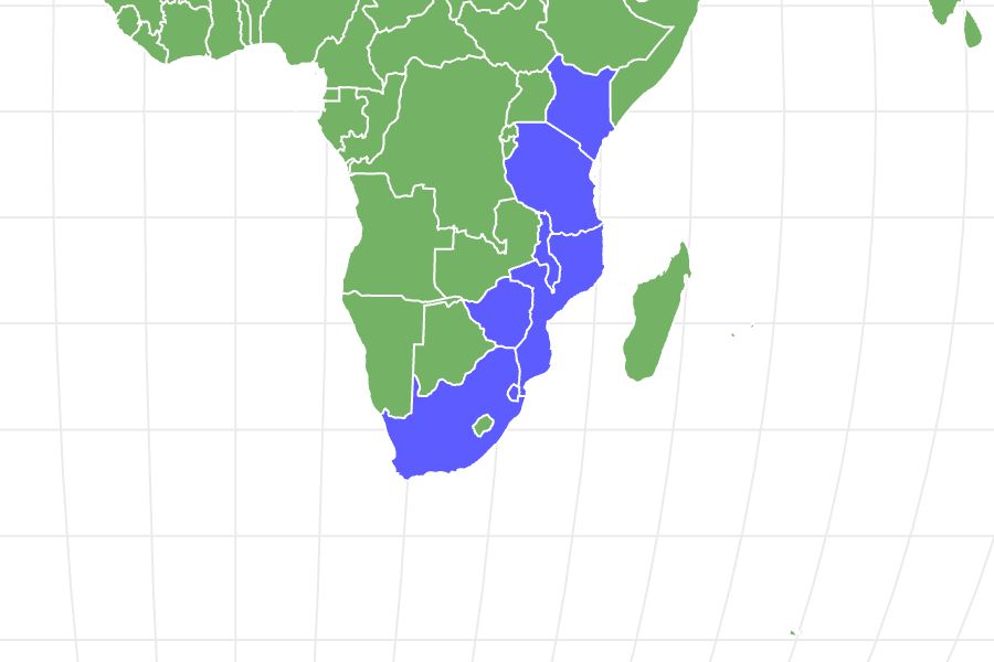 Eastern Green Mamba Locations