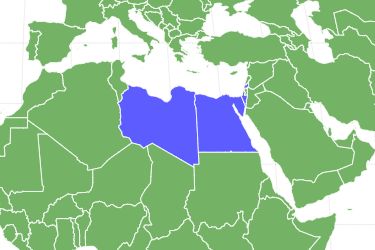 Egyptian Tortoise Locations