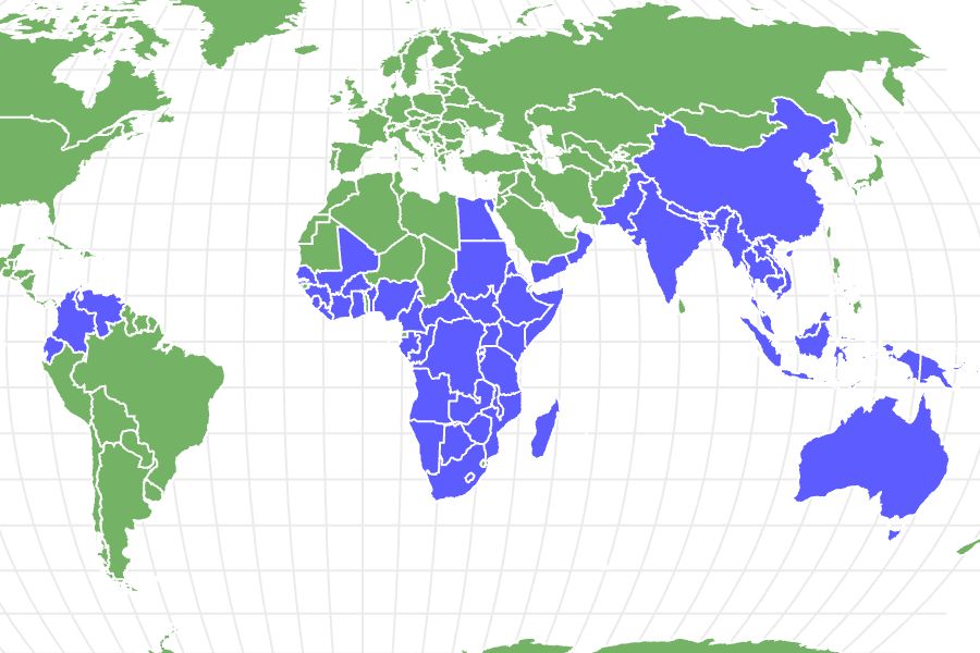 Fruit Bat Locations