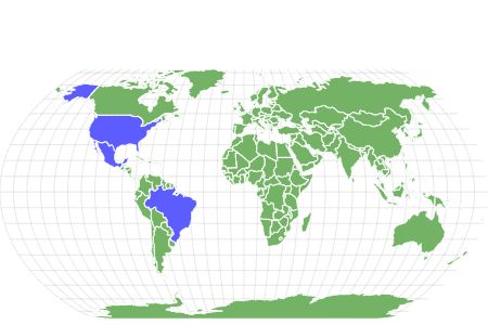 Goliath Grouper Locations