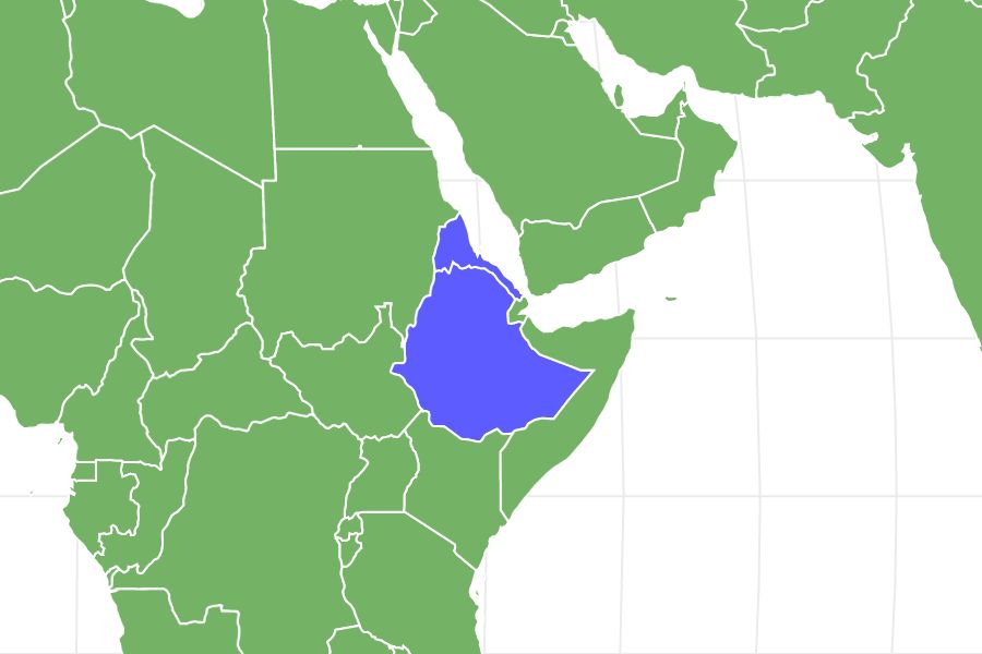 Gomphotherium Locations