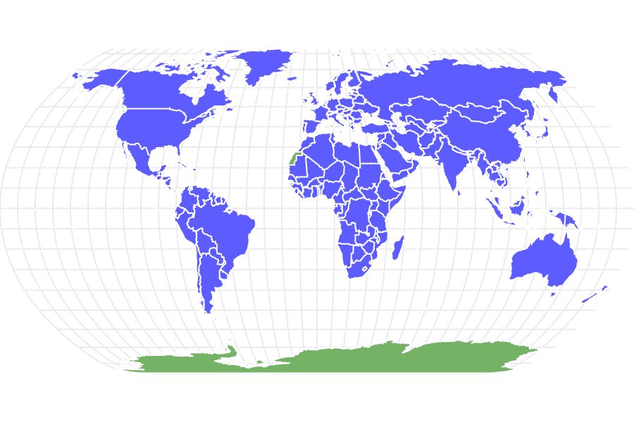 Honey Bee Locations