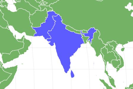 Indian Star Tortoise Locations