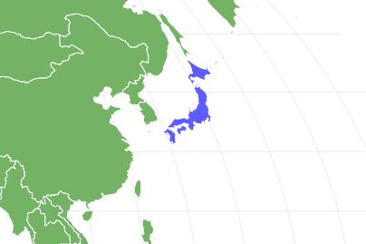 Japanese Squirrel Locations