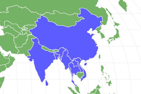 Loris Locations