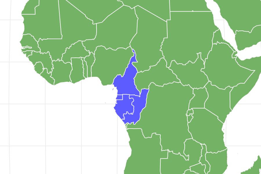 Mandrill Locations