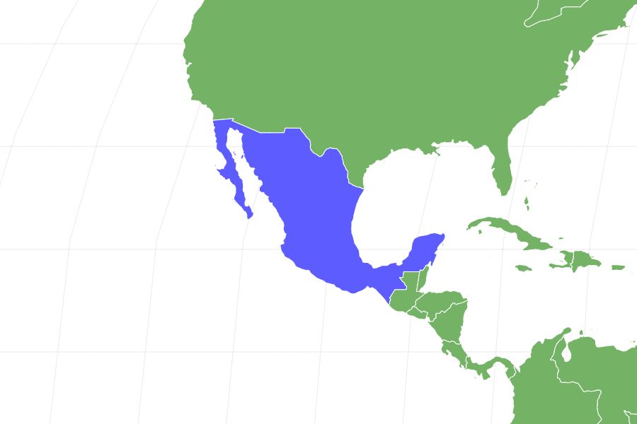 Mexican Fireleg Tarantula Locations