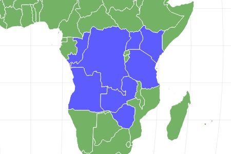 Orange Baboon Tarantula Locations