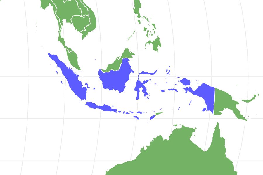 Orangutan Locations