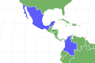 Red-Eyed Tree Frog Locations