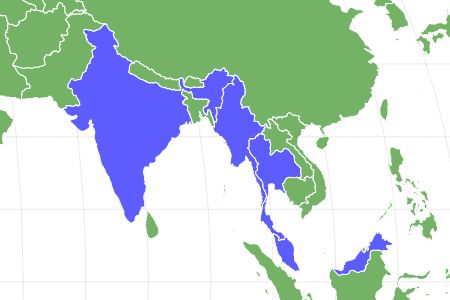 Red-Headed Vulture Locations