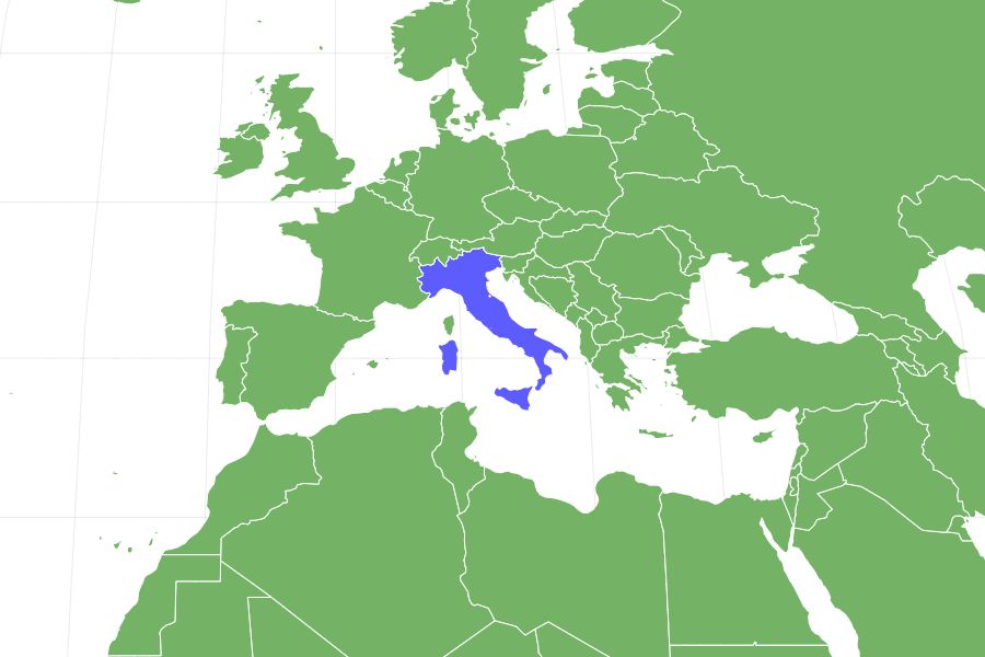 Spinone Italiano Locations
