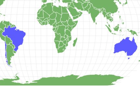 Stromatolite Locations