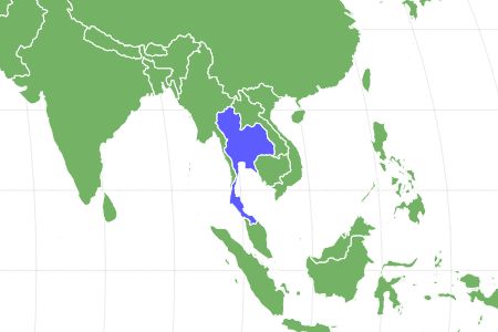 Thai Ridgeback Locations