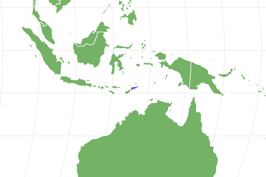 Timor python Locations
