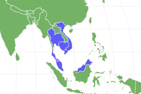 Tire Track Eel Locations