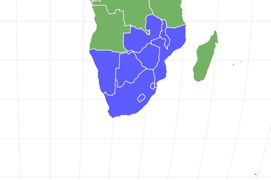 Wildebeest Locations