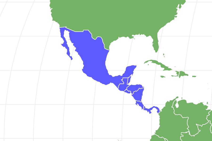 Yellow Spotted Lizard Locations