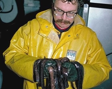 Người đàn ông với hagfish nhầy nhụa
