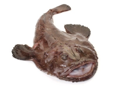 A Monkfish