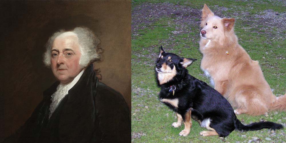 President John Adams had mixed-breed dogs