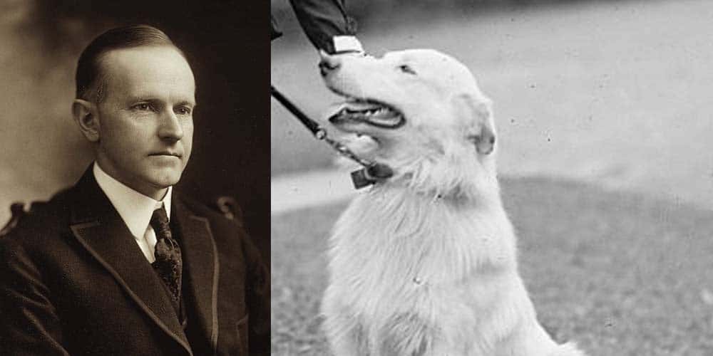 Rob Roy was the first dog under Calvin Coolidge