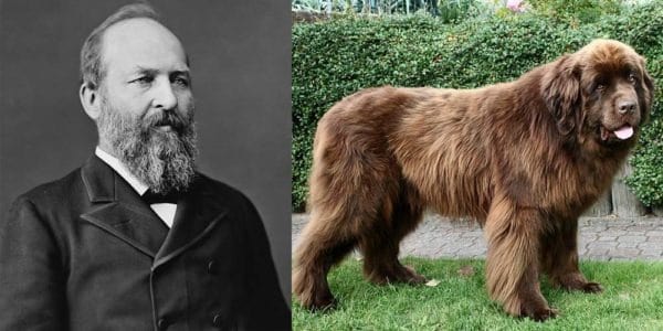 First Dogs: Educational Guide to U.S. Presidents Dogs | Presidential Pets